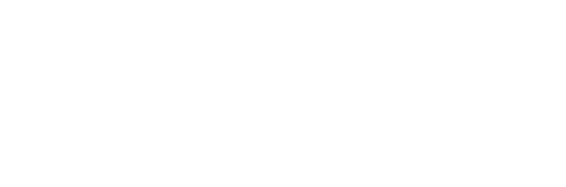 plus Vantage logo img
