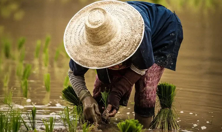 Changing Face of Agriculture