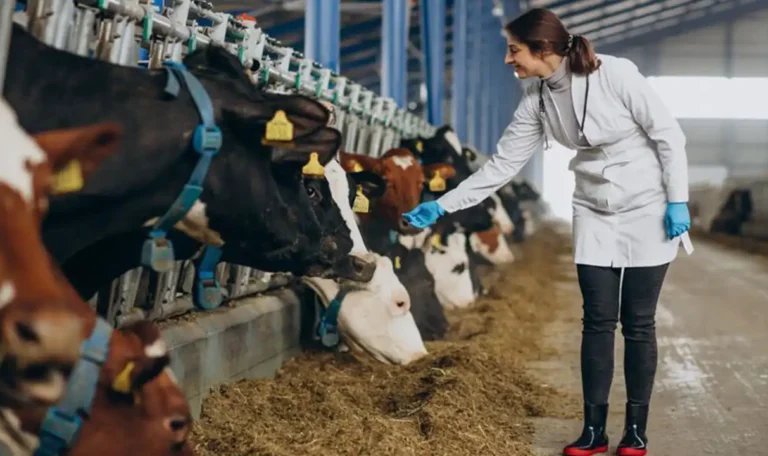 Dairy Industry Growth