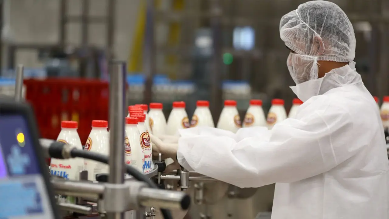 Dairy Industry img 2