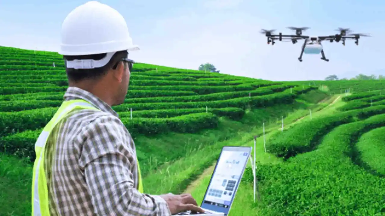 Farming Industry img 1