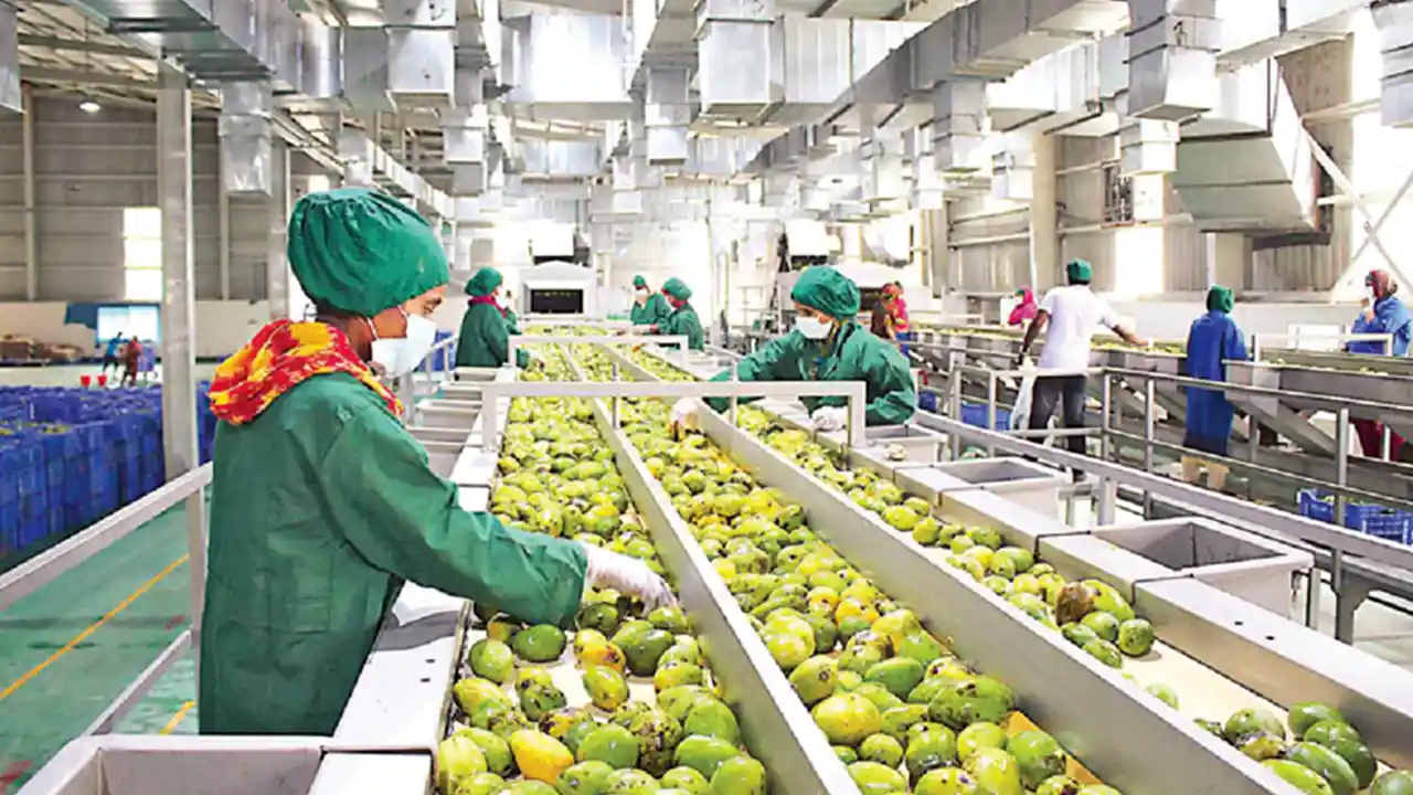 Food Production Industry_ img 2