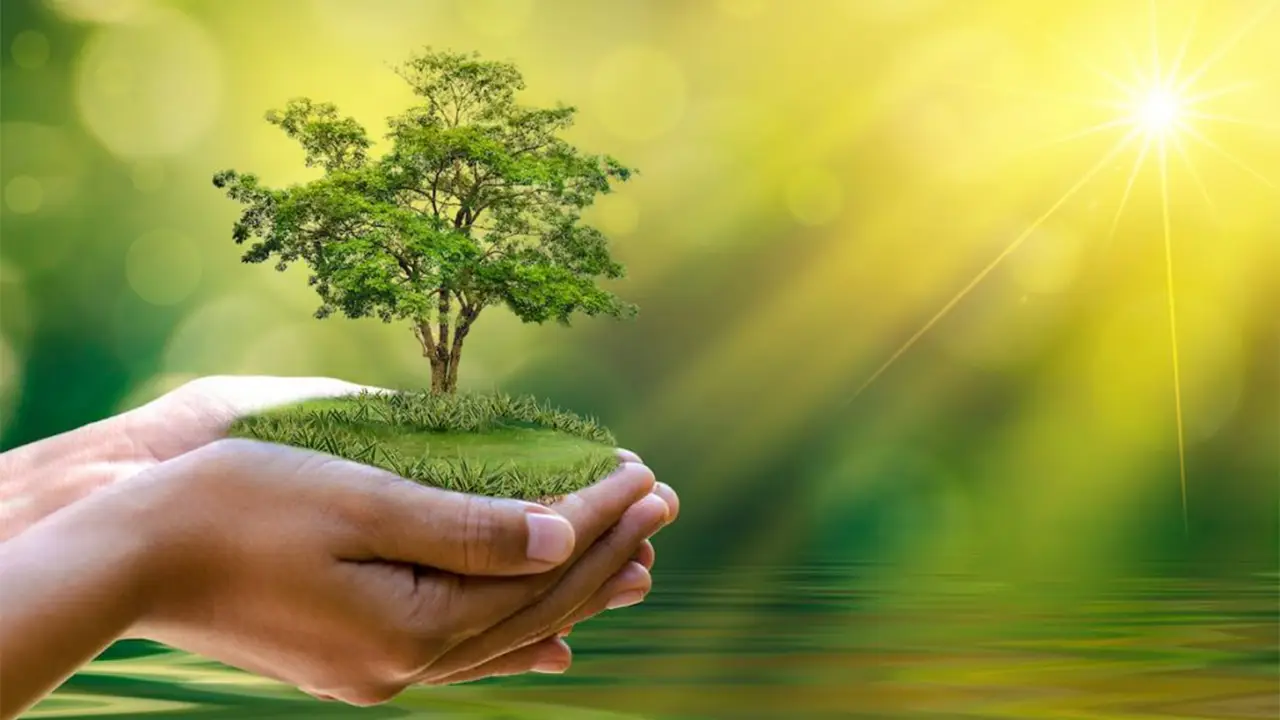 environmental Services industry img 1